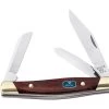 Buck Knives 303 Cadet Dymondwood Handle Pocket Knife 303Rws