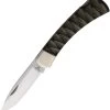 Buck 110 Folding Hunter Lockback LE