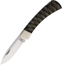 Buck 110 Folding Hunter Lockback LE