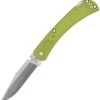 Buck 110 Slim Select Lockback Green