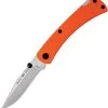 Buck 110 Slim Pro TRX Lockback