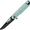 Buck Infusion Linerlock A/O Jade