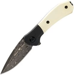 Buck Paradigm Linerlock LE