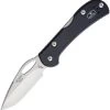 Buck Mini SpitFire Lockback Black
