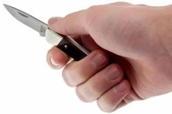 Buck 503 Prince 0503RWS-B, Rosewood -Knife discount store BUCK0503RWS B 05 buck 503 prince knife buck0503rws b 05