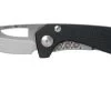 Buck 417BKS Budgie Black G10 Pocket Knife